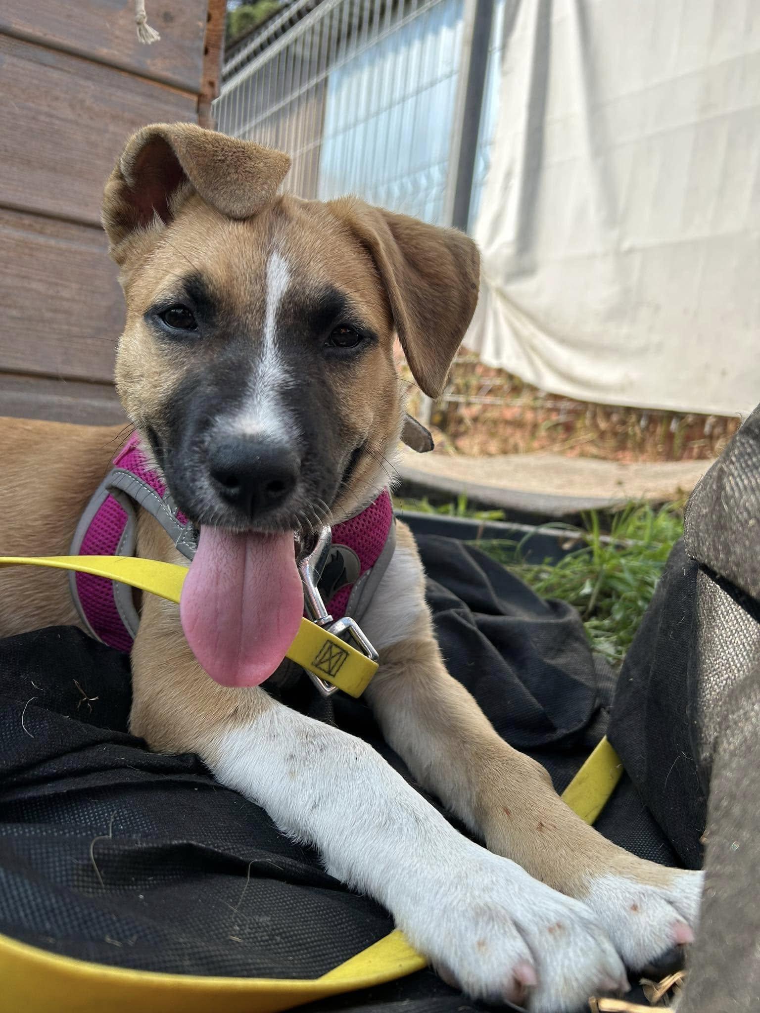 Group photo of participants in the School of Good Volunteering training in a workshop room.